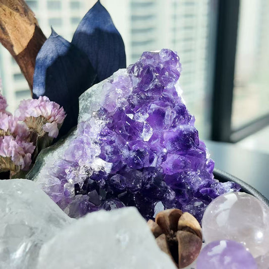Amethyst Geode Crystal Garden Bowl Kit