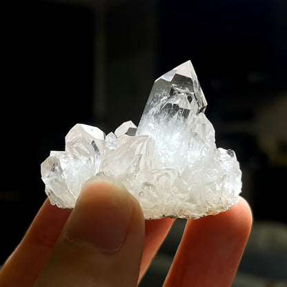 Clear Quartz Crystal Garden – Ivory Flowers & Sculptural Glass Bowl