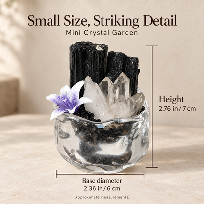 Black Tourmaline & Clear Quartz Garden – Mini Glass Bowl Decor